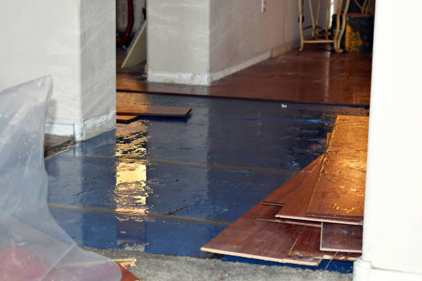 Professional Water Damage Restoration technician working in Milford, IN